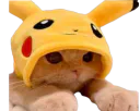 :Chat_pikachu: