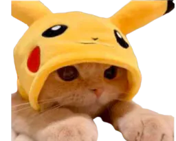 :Chat_pikachu: