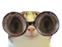 :Marrant_lunettes3: