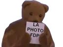 :nounours_photo: