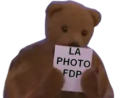 :nounours_photo: