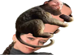 :AliceBenchAndMonkey:
