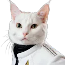 :StarCat: