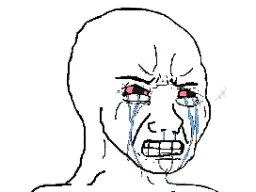 :wojak_rage_:
