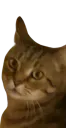 :Chatmarlou: