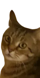 :Chatmarlou: