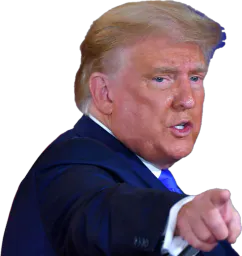 :TrumpLidl:
