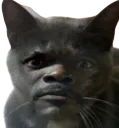 :Chamueleejackson: