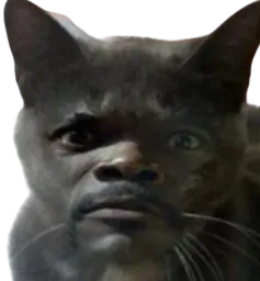 :Chamueleejackson: