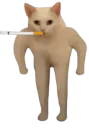 :human_cat_fumeur: