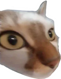 :chatkhey2:
