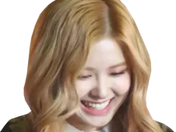 :rosel: