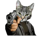 :Cattogun2: