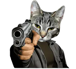 :Cattogun2:
