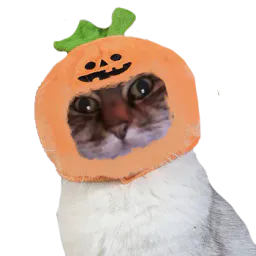 :halloween_chat: