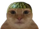 :chatmelon: