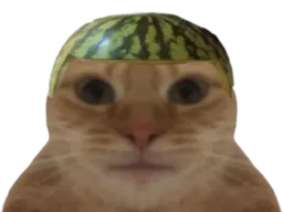 :chatmelon: