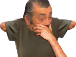 :risimoignons_main: