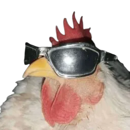 :Poulet_mon_poulet_: