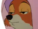 :renard_blase: