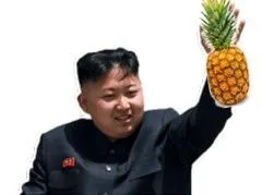 :Pineappled_KJU: