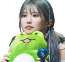 :hayoung_grenouille: