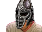 :Garde_skyrim:
