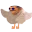 Photo de profil de FOUROUM