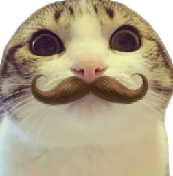 :chat_marrant_moustache2: