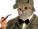 :chat_pipe: