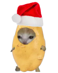 :Potato_de_noel:
