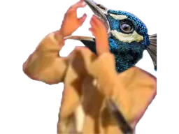 :Paon_Hurle2:
