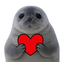 :phoquecoeur: