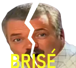 :brise_stopcensure_lekhey_interloque: