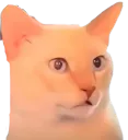 :Chat_chokbar_ent: