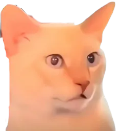 :Chat_chokbar_ent: