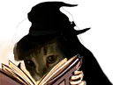 :chat_fdv_lire: