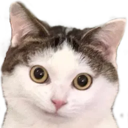 :Chatah: