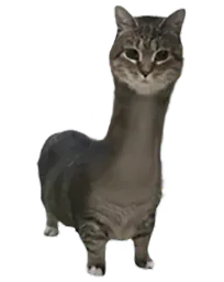 :Chirafe: