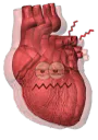 :Stress_coeur: