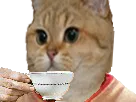:Sodium_cafe2: