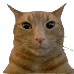 :chat_ecoute:
