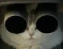 :Chat_pot_RedPill: