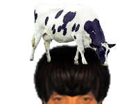 :Vache_puceau: