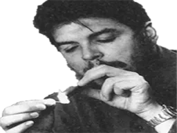 :CheGuevara: