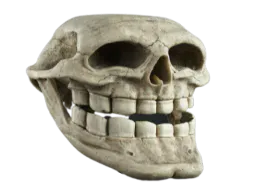 :crane_troll:
