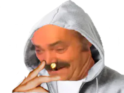 :Hoodie: