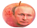 :Pomtine: