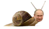 :poutine_escargot: