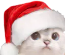 :NoelCat: